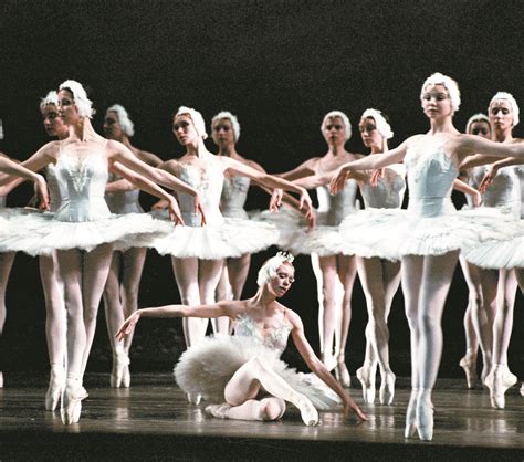 芭蕾舞基本功有哪些 ：基本动作及分解动作 | 说明书网