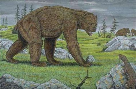 巨型短面熊：史前北美真正的北境之王_凤凰网