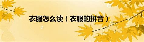汉语拼音字母表学习(超全)_word文档免费下载_文档大全