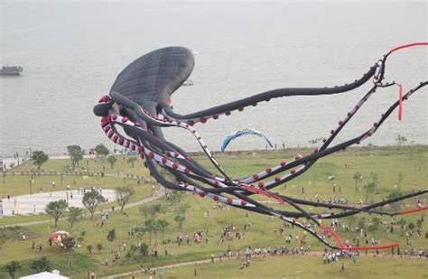 世界最大风筝在格力海岸放飞 刷新吉尼斯纪录 - 导购 -珠海乐居网