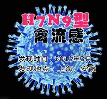 全球首次发现人感染H5N8型禽流感病毒_凤凰网视频_凤凰网