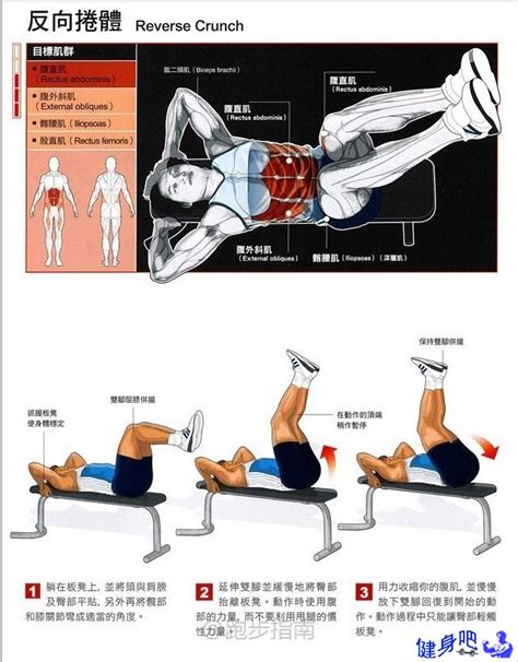 腰腹部练习手册：解读每个动作需要注意哪些细-健身吧