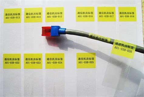 网线线缆标签_裕科（上海）包装材料有限公司