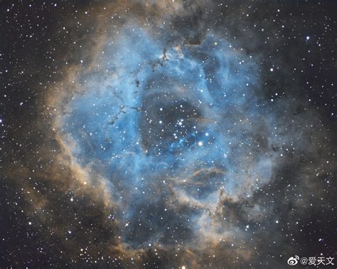 NGC2237号玫瑰星云图片