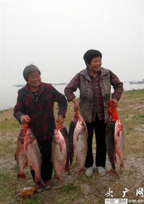 安徽巢湖：渔民捕鱼争“王位”__凤凰网