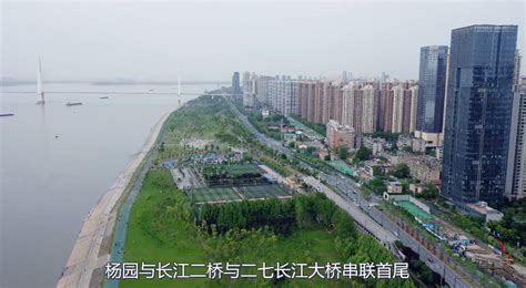 武昌：携手共建国家中心城市核心区_长江网_cjn.cn