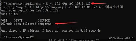 如何在windows上测试linux服务器上的162端口是否采用UDP协议监听_win查看远程端口是否开启udp-CSDN博客