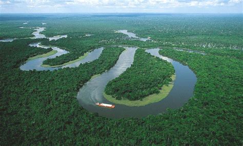 亚马逊热带雨林为什么是人类禁区？那里到底有多危险？