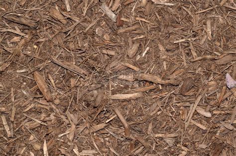 木制垃圾回收木材环境蓝天水平蓝色木头垃圾场拆除木材业高清图片下载-正版图片320709255-摄图网