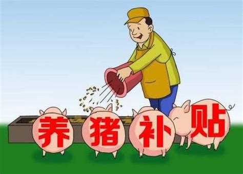 2020年养猪新政策：年出栏生猪5000头以下无需环保审批！_凤凰网视频_凤凰网