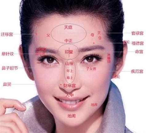 面相图解大全图片