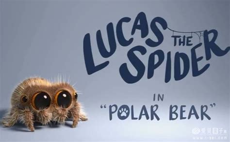 《小蜘蛛卢卡斯Lucas the Spider》34集英语启蒙动画短片系列 百度云网盘下载 – 铅笔钥匙