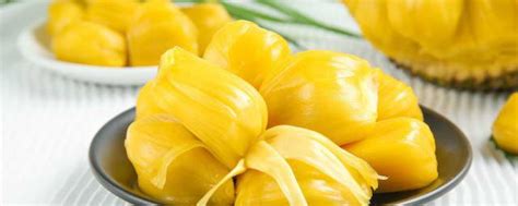 菠萝蜜籽的功效与营养价值是什么（它是菠萝蜜的籽，营养丰富煮熟吃绵软香甜） | 说明书网