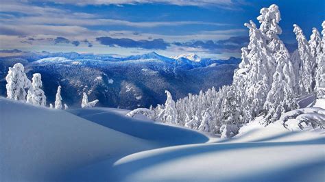 高清晰美冬雪景桌面壁纸下载