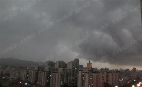 落汤鸡暴雨图片