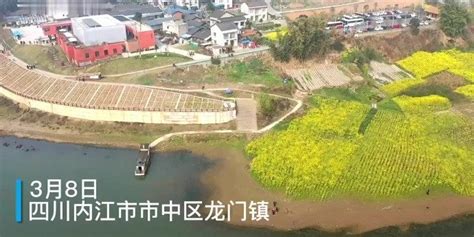 阳春三月，内江市中区油菜花与江水相映成景_凤凰网视频_凤凰网