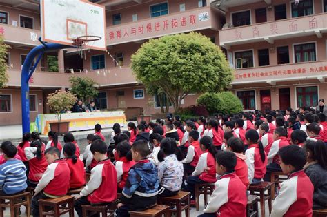 县教育局：推进“爱种子”教学模式 -阳西县人民政府网站