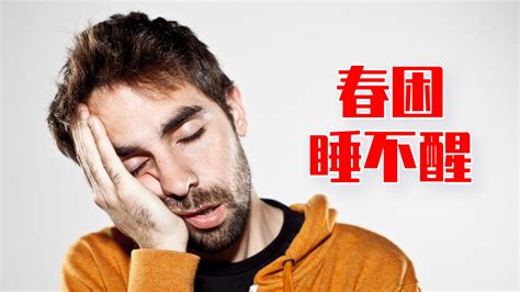 早上五点醒后就睡不着了，怎么办？ - 知乎