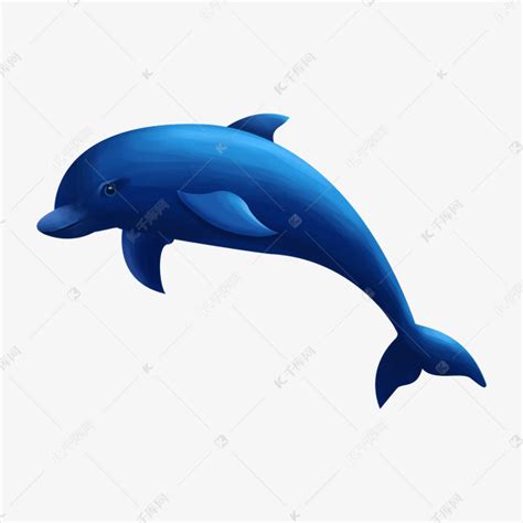 蓝色海豚图片