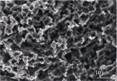 氟塑料防腐防锈胶膜适用于金属表面防腐避免应力腐蚀 - 知乎