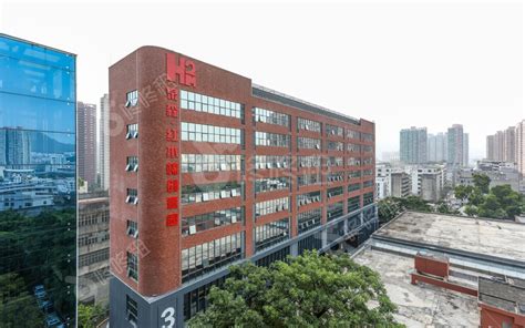 深圳泉森 · 红木棉创意园 | 华可可办公设计 - Press 地产通讯社