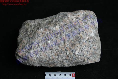 肉红色片麻状花岗斑岩_Flesh Red Gneissic Granite Porphyry_国家岩矿化石标本资源共享平台