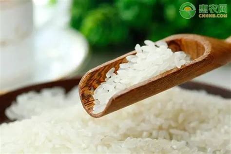 杂交水稻的特点和缺点！杂交水稻是我们吃的大米吗？ - 达达搜