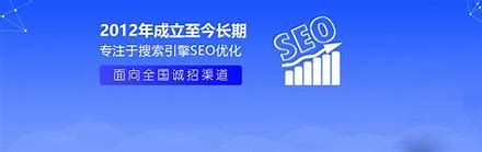 天津网站seo优化公司排行榜 的图像结果