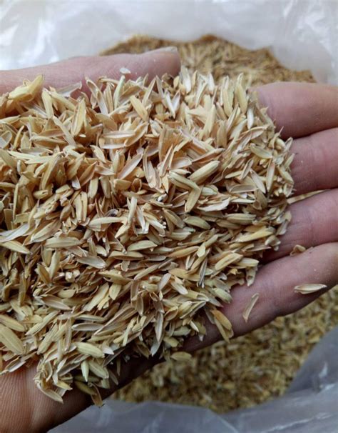 稻壳和米糠有什么区别？ 稻壳和米糠的区别介绍|稻壳|米糠-知识百科-川北在线