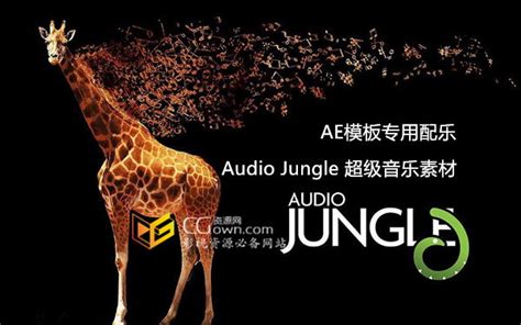 Audio Jungle（音乐丛林） - 歌单 - 网易云音乐