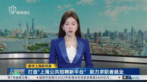 数字上海新风景 打造“上海公共招聘新平台”助力求职者就业_手机新浪网