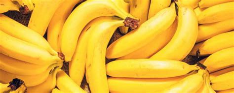香蕉皮煮水的功效与作用 香蕉皮煮水的功效与作用有哪些_知秀网