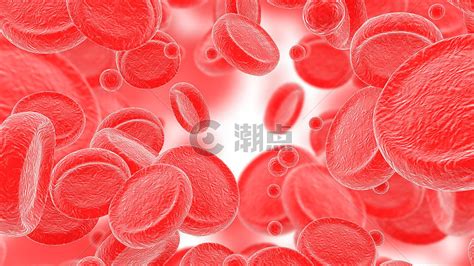 血细胞通用背景533*300图片素材免费下载-编号29654-潮点视频