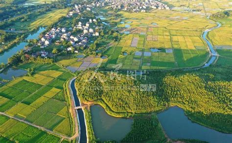 江西泰和：生态灌渠助力农业生产-人民图片网