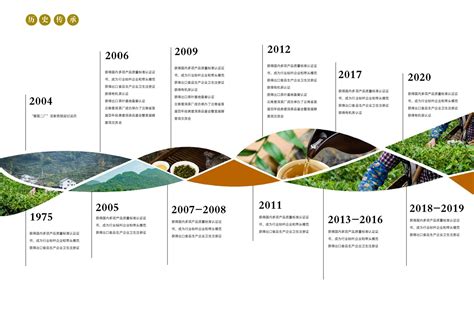 云南普洱茶企业传承发展历程模板下载-金印客模板库