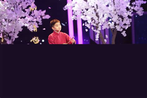 《欢乐中国人2》1-28期：11岁少年携手李玉刚惊艳演绎《梨花颂》（2）_综艺节目_海峡网