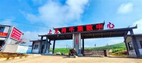 云南省首个数字肉牛集散中心在澜沧县上允镇启动 - 中国网