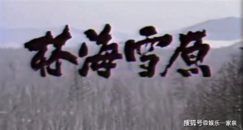 1986年电视剧《林海雪原》，原汁原味东北味儿，上译配音添风采_林达信