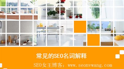 从哪些方面进行网站优化（seo站内优化包括）-8848SEO