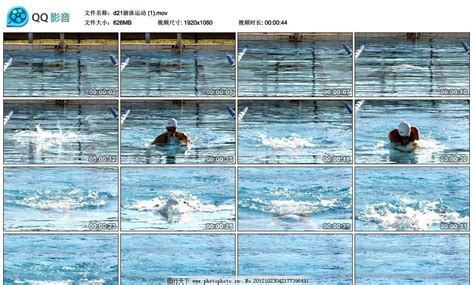 专业游泳运动员在游泳池跳水_3840X2160_高清视频素材下载(编号:7523042)_实拍视频_光厂(VJ师网) www.vjshi.com