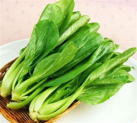 深圳有哪几个大型蔬菜批发市场?-