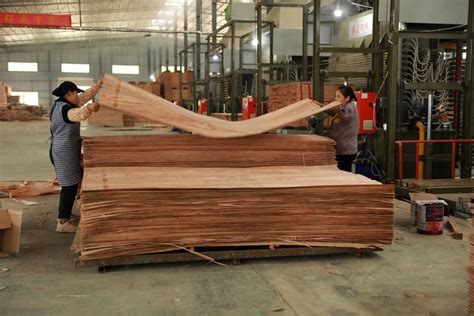 广西环江林业工业升级转型“新赛道”-木业网