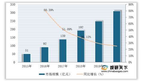 2021年中国民宿市场分析报告-行业运营态势与前景评估预测 - 中国报告网