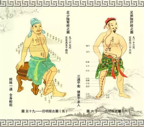 肝胆经络图图片