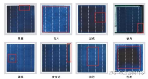 太阳能硅片检测显微镜DJM-300C-上海蔡康光学仪器有限公司