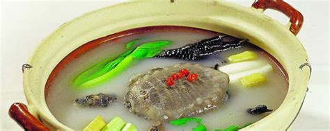 甲鱼火锅,中国菜系,食品餐饮,摄影素材,汇图网www.huitu.com