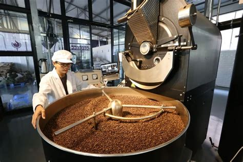 图解现代普洱茶的制作工艺10步骤-中国普洱批发网