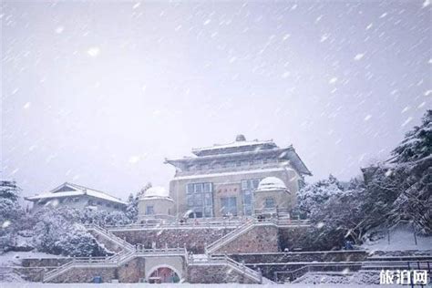 科学网—“这才是武汉的冬天” - 姚卫建的博文