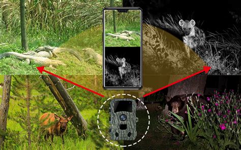红外感应相机_林业野外动物监控监测相机_林业打猎相机 - 锐逸实业