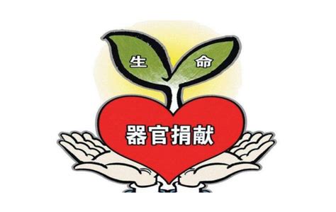 中国器官捐献登记新增支付宝渠道 有望推动公民捐献意愿表达（2）-千龙网·中国首都网